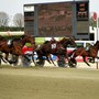 Ippodromo di Vinovo, dal 19 febbraio si torna in pista