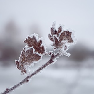 meteo freddo