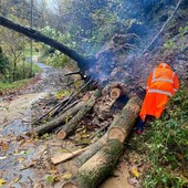 Gli Aib alla Comba Carbonieri