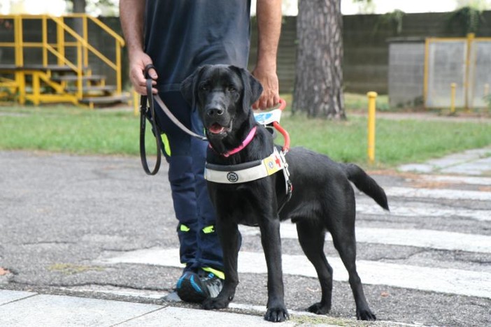 La ‘Febbre del venerdì sera’ porterà nel Pinerolese un nuovo cane-guida