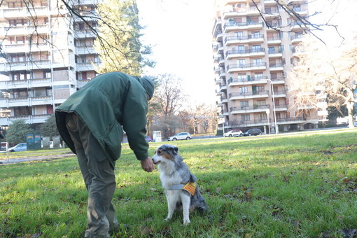 Cani che salvano cani (e non solo): contro bocconi killer arrivano a Torino le unità antiveleno