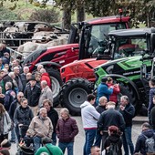 Una foto della scorsa edizione di Claudio Bonifazio