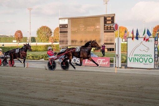 Ippodromo di Vinovo: il 1° novembre, rivincita del derby e delle Oaks nel gp Orsi Mangelli