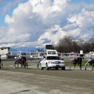 All'ippodromo di Vinovo il Campionato Gentlemen Piemontese