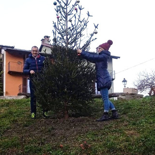 L’abete in ricordo di Tesio Gulmini