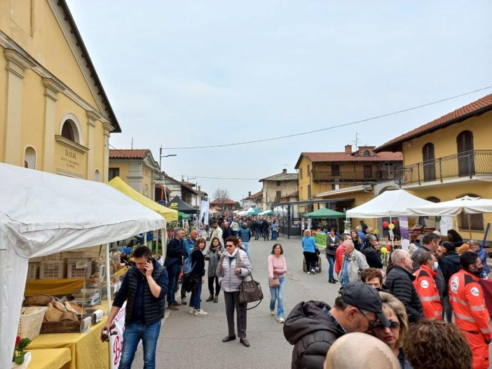 (Foto di repertorio)