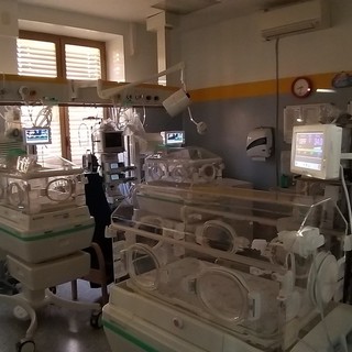 neonatologia santa croce e dott. vivalda