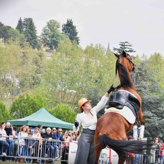 Foto di Stefano Bricco