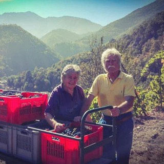 Giuliano Coutandin con la moglie Laura nelle vigne