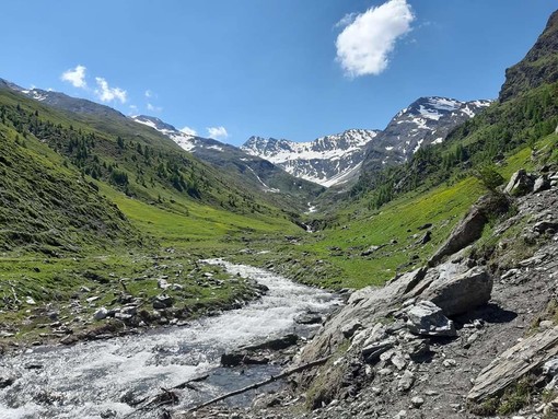 Uno scorcio della Val Troncea