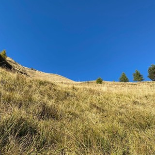 Il luogo della caduta