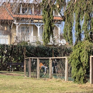 In fondo vicino alla siepe, le due nuove panchine vicine al laghetto del Parco di Villa Widemann