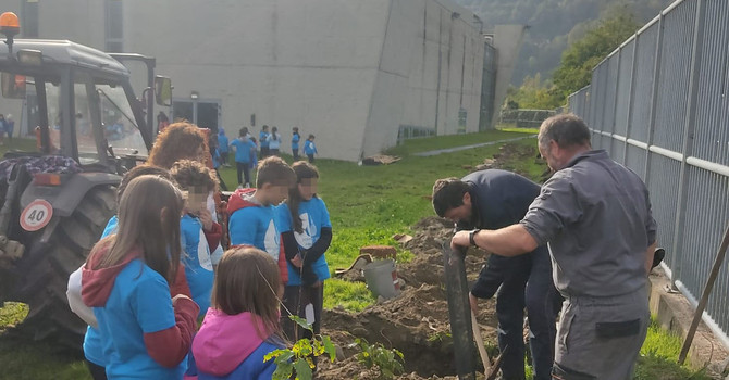 La piantumazione degli alberi al palazzetto del ghiaccio di Torre Pellice