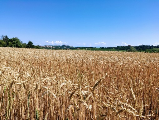 Obiettivo valorizzare le eccellenze del territorio e creare opportunità di lavoro