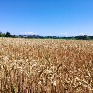 Obiettivo valorizzare le eccellenze del territorio e creare opportunità di lavoro