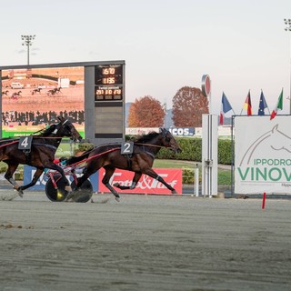 Vinovo si prepara ad un altro grande mercoledì di trotto