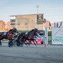 A Vinovo tutto pronto per un altro grande mercoledì di trotto