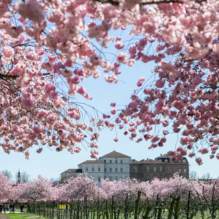 Meteo, con un po' di ritardo ecco che si affaccia la primavera