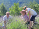 Marco Sollier e la sua famiglia nel campo di lavanda