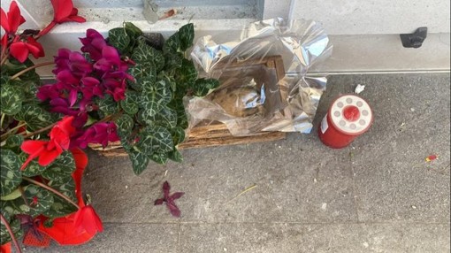 Vandali e incivili di nuovo protagonisti di furti al cimitero di Nichelino