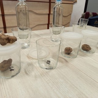 Dronero: all' Istituto Alberghiero Donadio una Masterclass sul Tartufo Bianco d’Alba (Foto e Video)