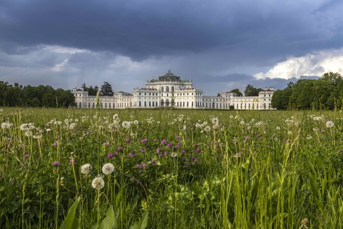 A Stupinigi una mostra racconta l'emergenza della donazione di sangue