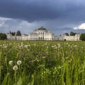 A Stupinigi una mostra racconta l'emergenza della donazione di sangue