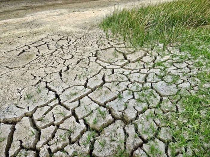 Coldiretti: &quot;I cambiamenti climatici mettono a rischio produzione e occupazione&quot;