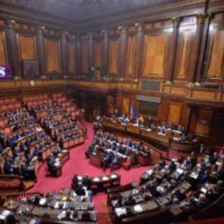 Troppe code alla buvette e al ristorante, Senatori fanno scattare i controlli